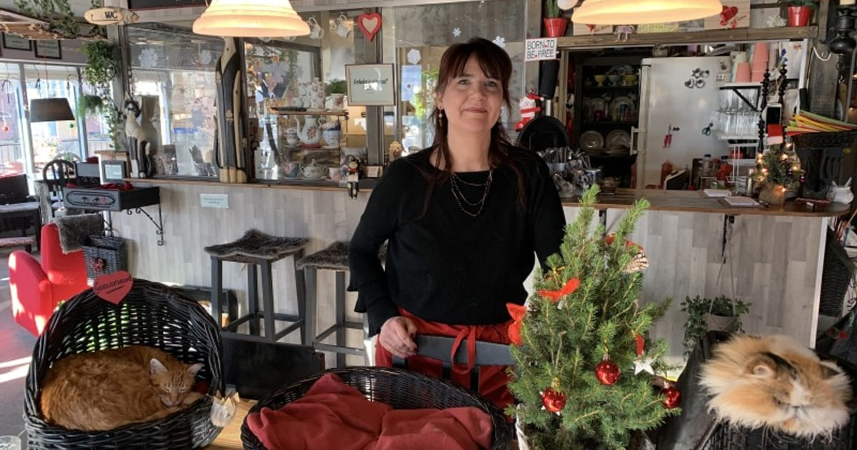 Monique gaat emigreren en zoekt nieuwe eigenaar voor haar Almeerse kattencafé