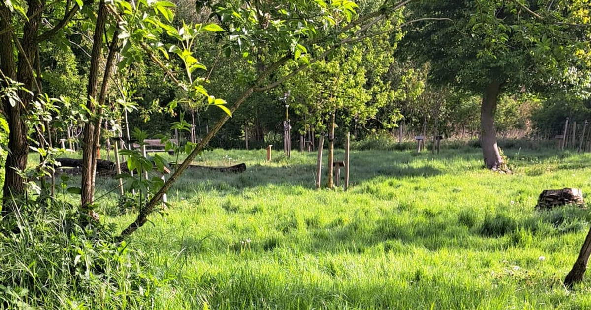 Staatsbosbeheer blijft Luierpark ook in 2026 maaien