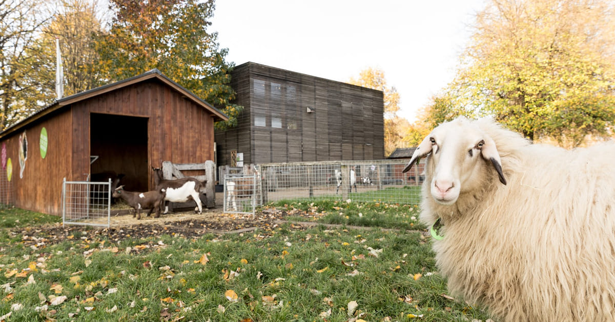 Kinderboerderij Den Uylpark wordt mogelijk uitgebreid: meer ruimte voor schooltuinen