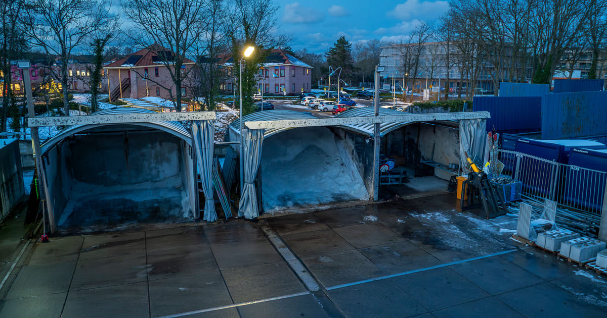 Hoe schadelijk is strooizout eigenlijk? Forum wil ecologisch strooien om dieren te beschermen