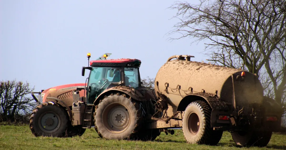 Dit is waarom Almere ineens naar mest ruikt