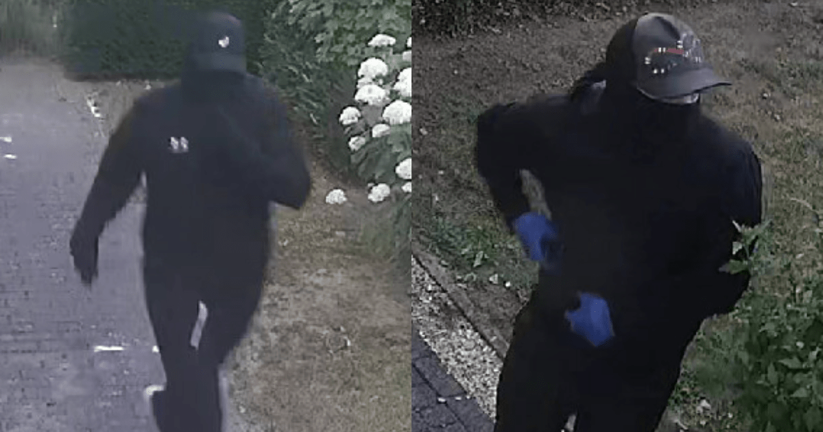 Politie verspreidt beelden van woningovervallers Filmwijk
