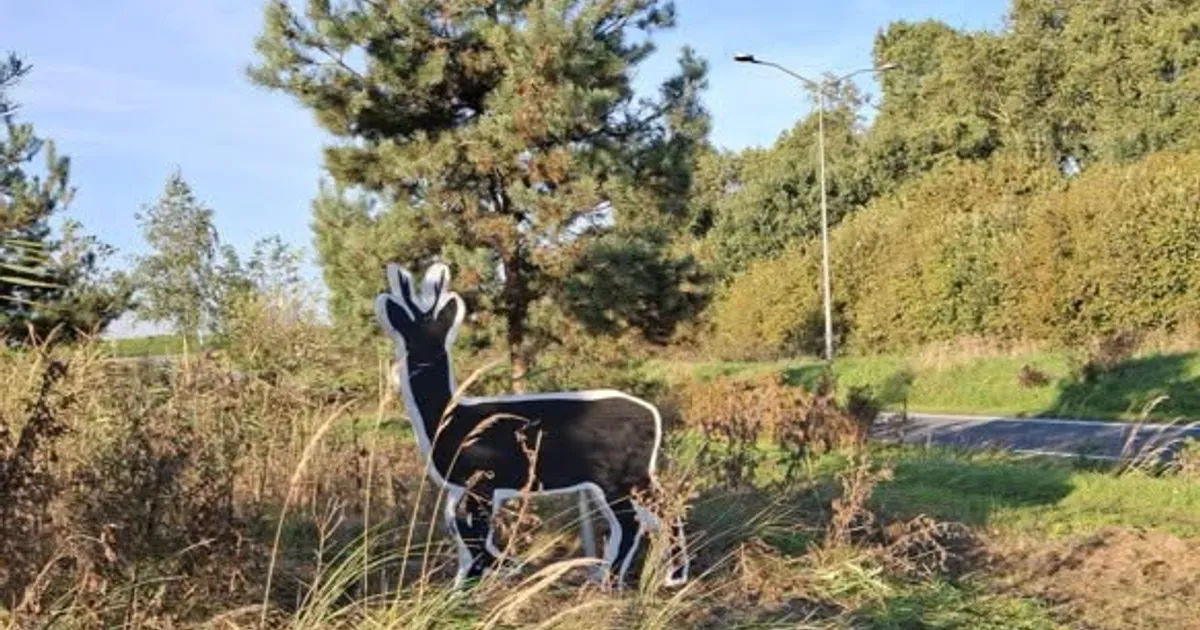 Levensechte reeën en damherten langs de Godendreef moeten aanrijdingen voorkomen
