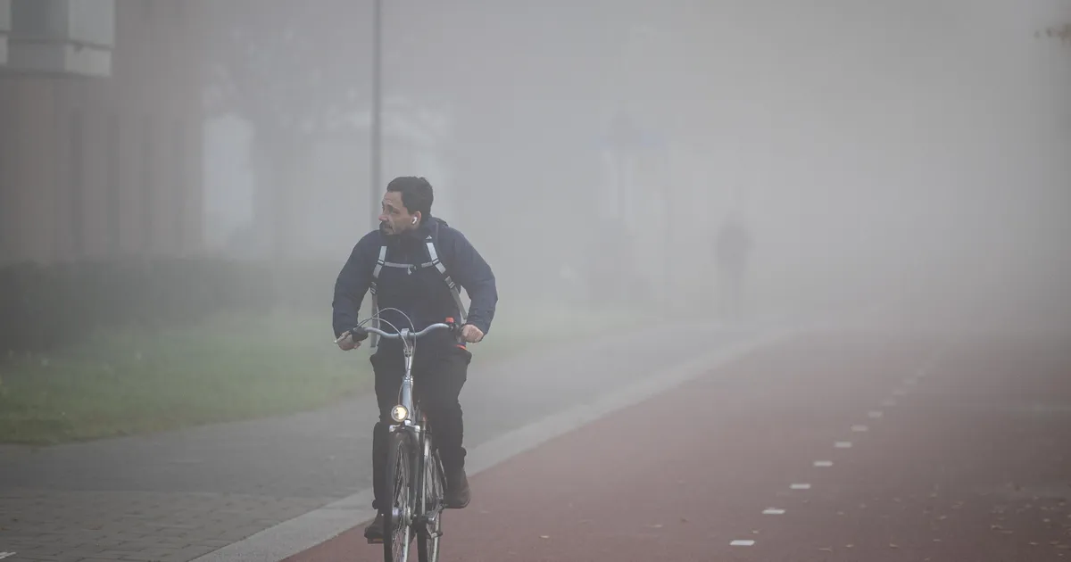 Slecht zicht in Almere door dichte mist: KNMI kondigt code geel af