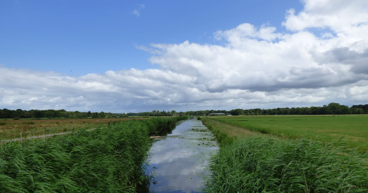 Weerbericht voor woensdag 9 juli: geleidelijk meer ruimte voor de zon