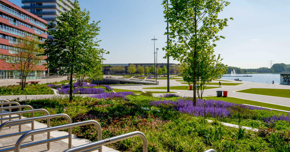 Hoe ziet de klimaataanpak van de gemeente Almere er de komende vijf jaar uit?