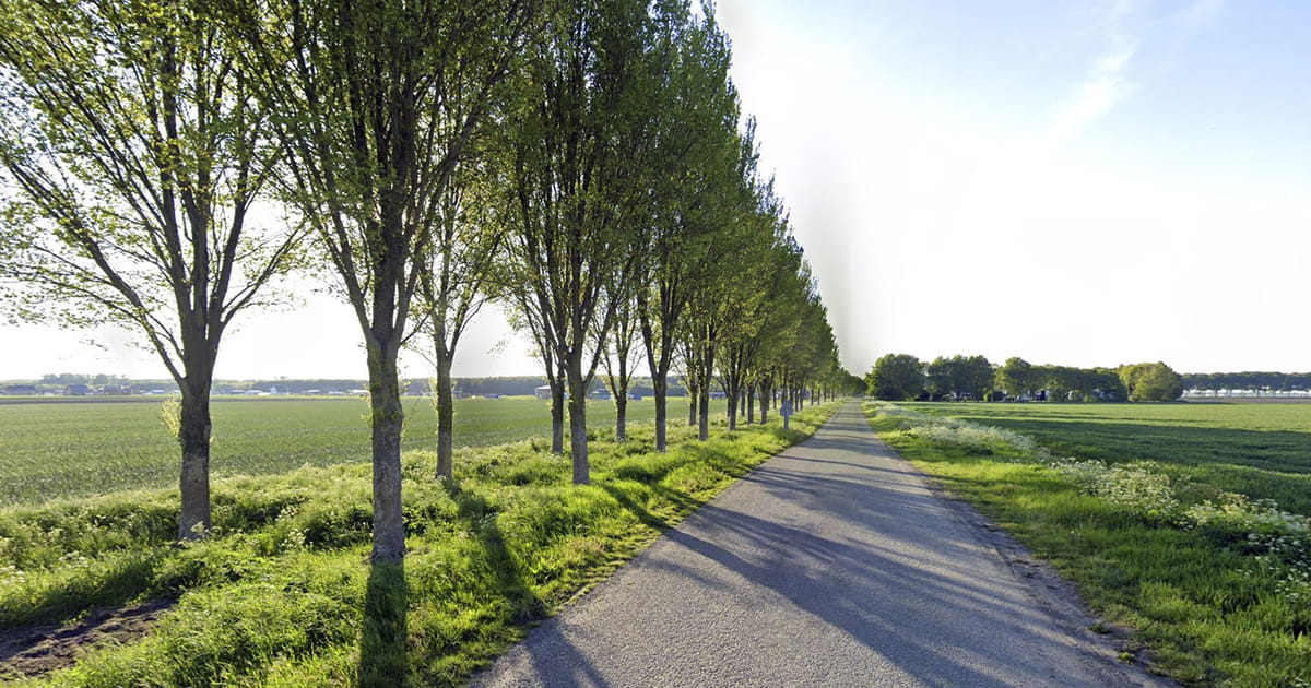Oosterwoldse kunstenaar maakt kunstwerk voor de wijk met behulp van inwoners en blokkendozen