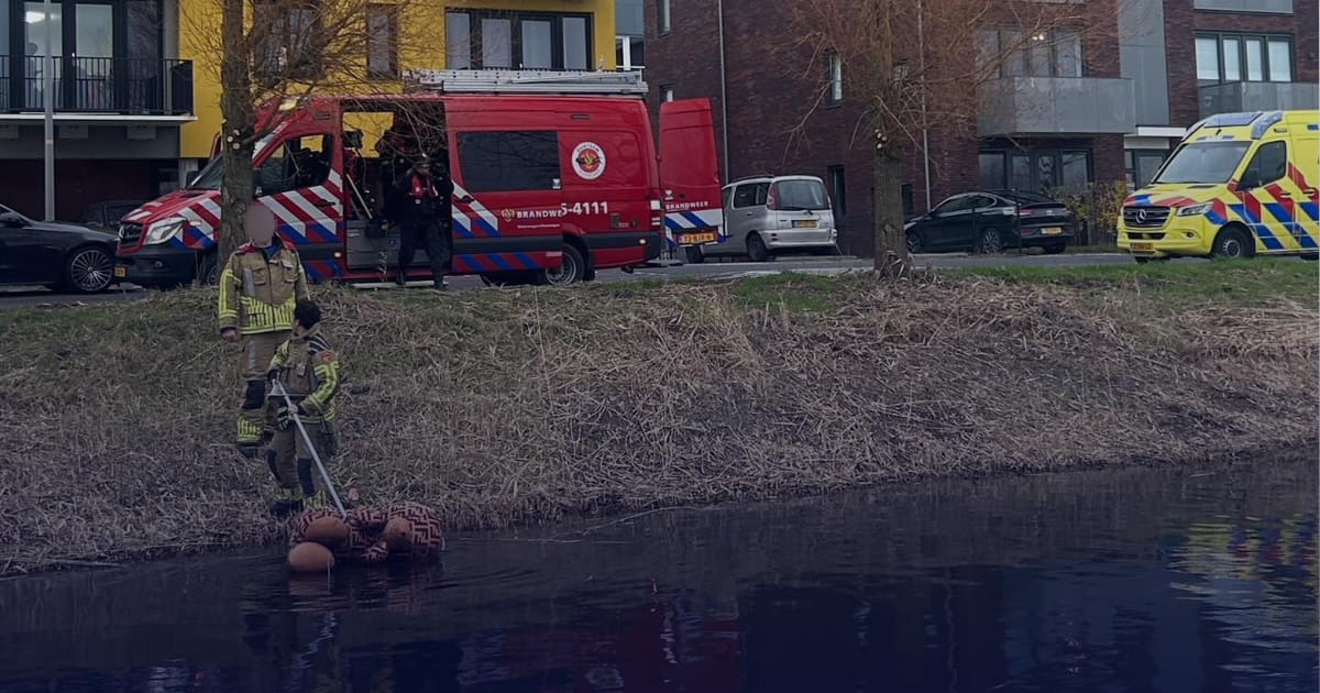 Grote reddingsactie in Almere Poort eindigt met natte teddybeer