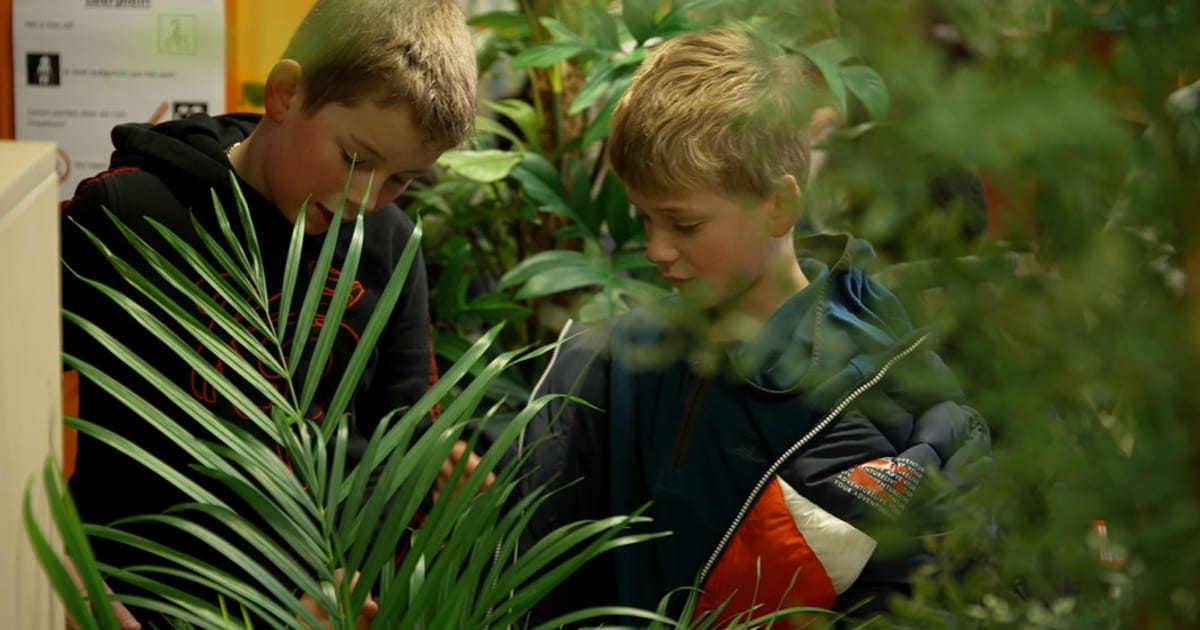Intratuin Almere zoekt groene wensen: welke plek in de stad verdient een make-over?