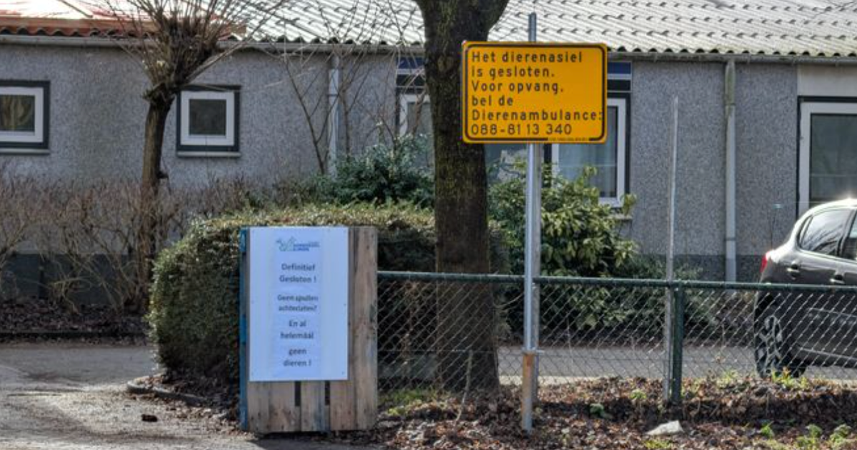 Almere nog even zonder dierenasiel, maar er komt 'iets moois'