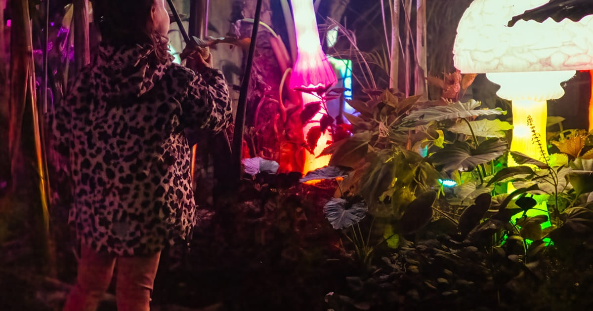 Almere Jungle verandert dit najaar in een verlichte avondsafari
