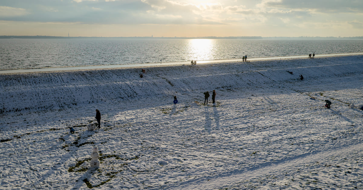 Almere in de sneeuw: leuke foto's van afgelopen week